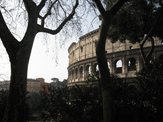 Coloseum