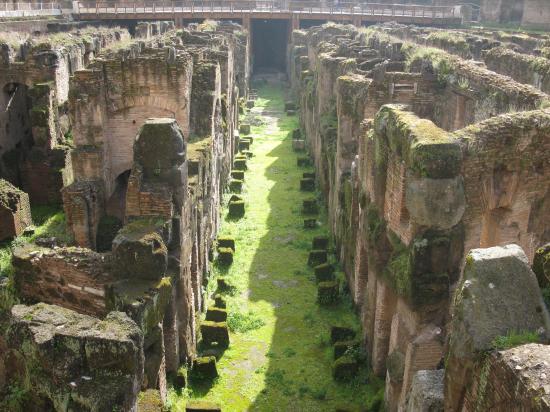 Coloseum