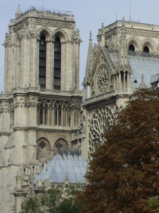 notre dame 11