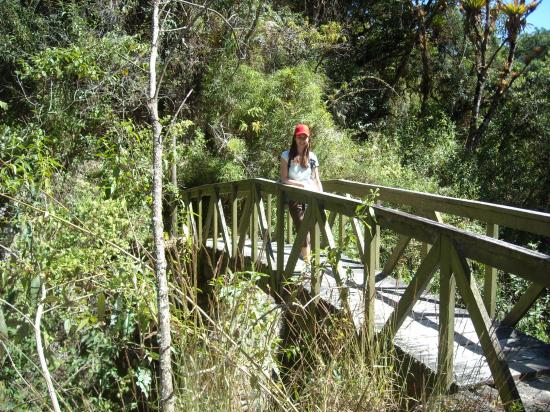 Camino Inca