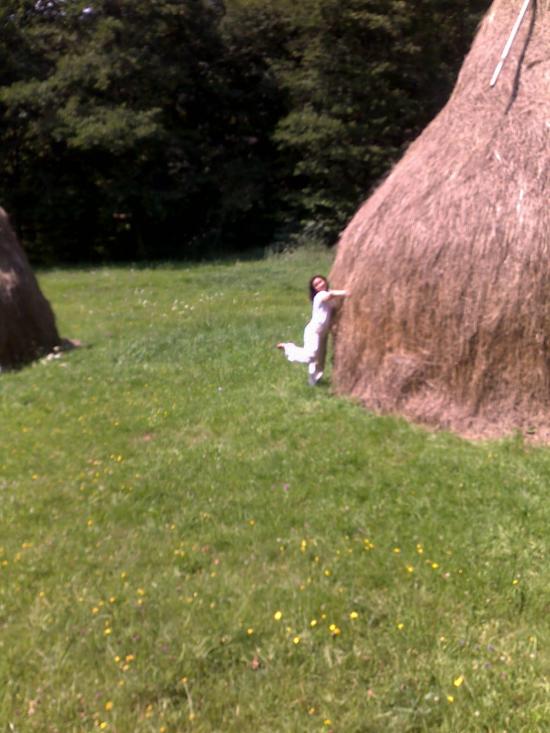 07082011 Parc National, Sibiu