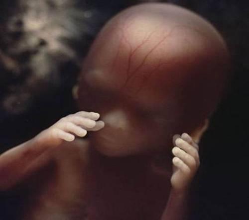 Dupa 16 saptamani, fetusul incepe sa-si exploreze propriul corp si imprejurimile cu ajutorul mainilor