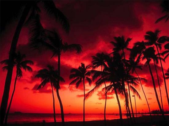 sunset05