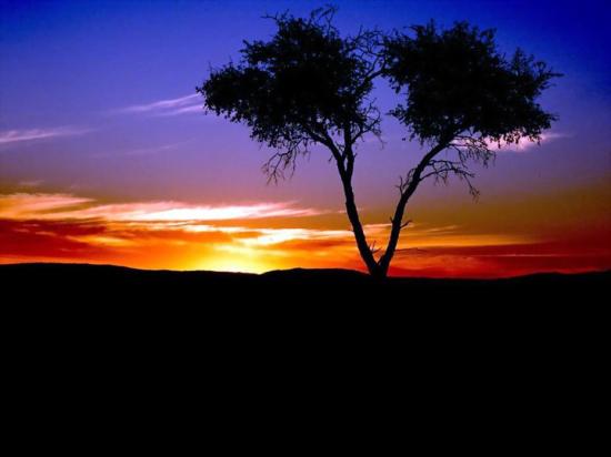 sunset16