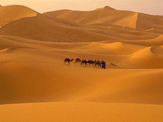 Sahara-Desert-Morocco