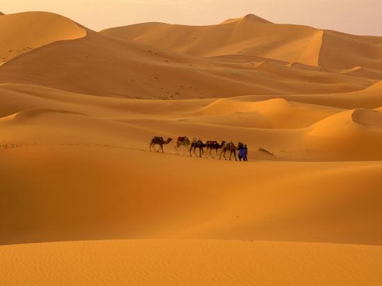 Sahara-Desert-Morocco