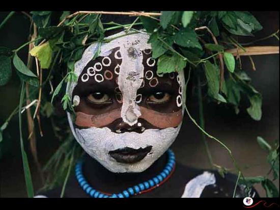 Boda en la jungla