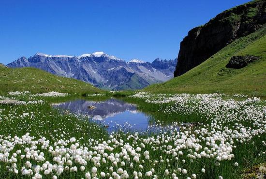 GlarusAlps