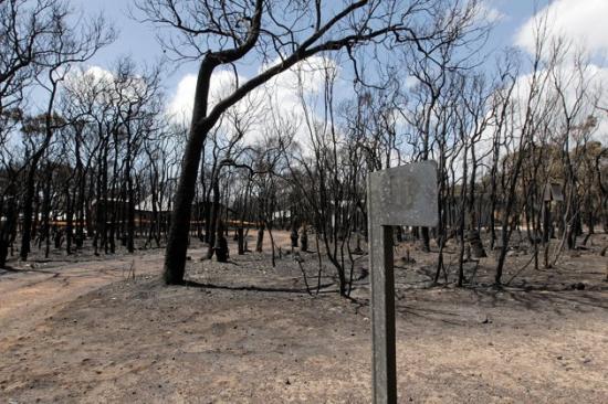 Australia dupa incendiu parcul nazional Leeuwin-Naturaliste.