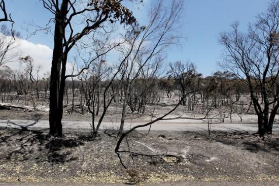 Australia dupa incendiu.