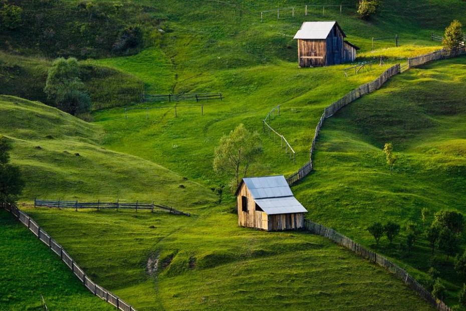 Bucovina1