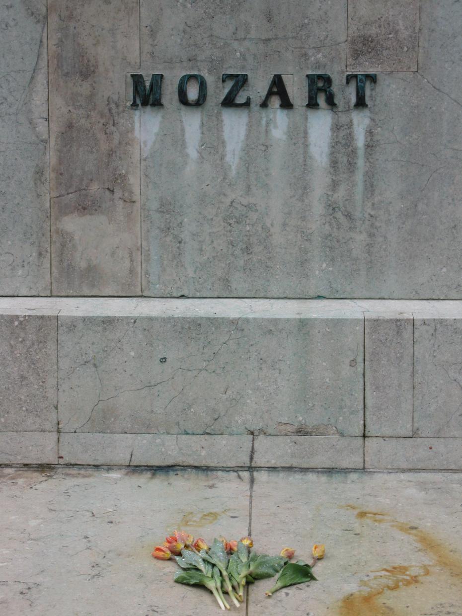 flori la statuia lui Mozart