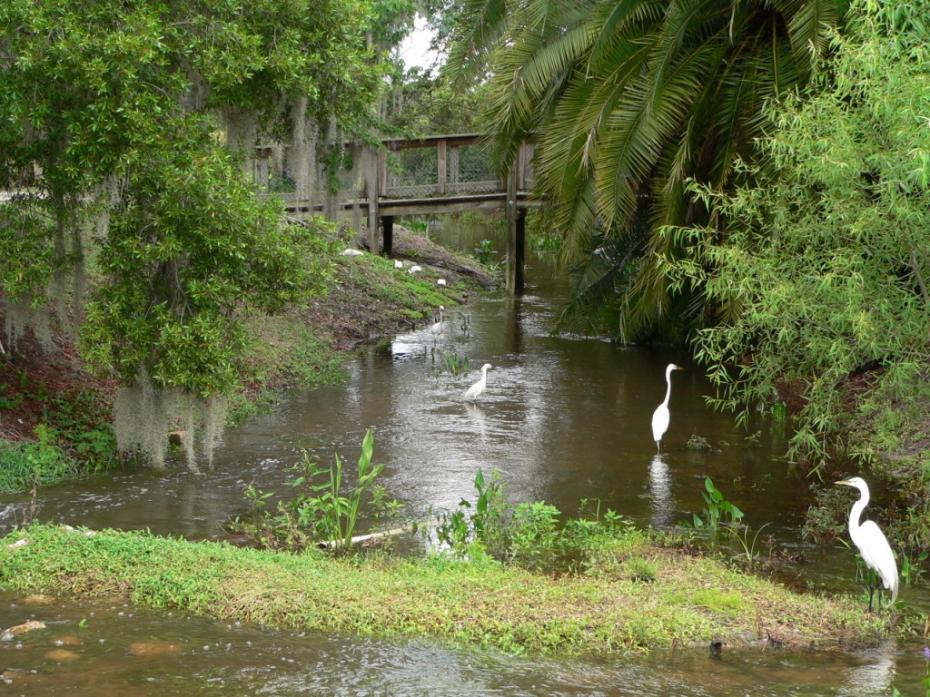 south-lake-howard-nature-park