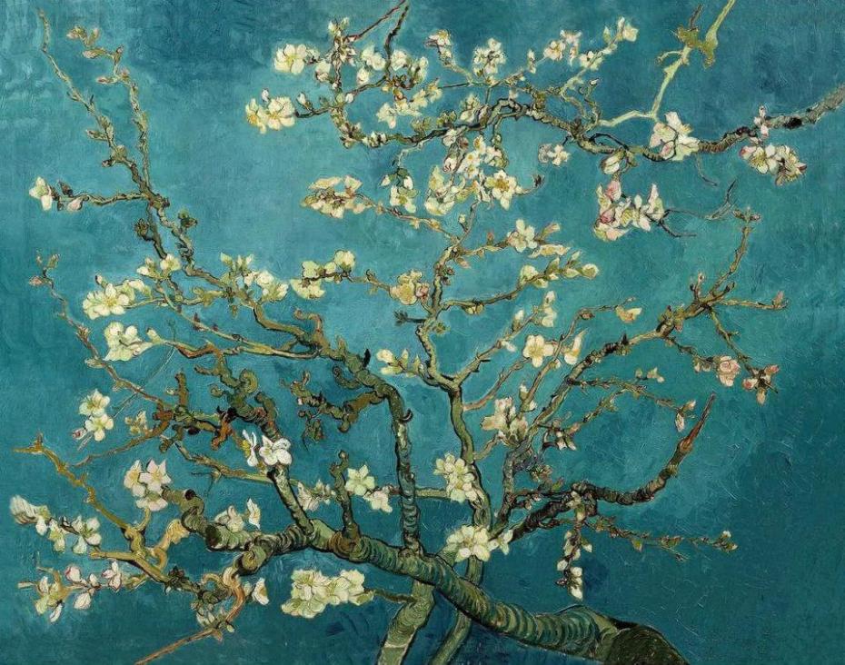 Cherry blossoms by Vincent van Gogh 1890