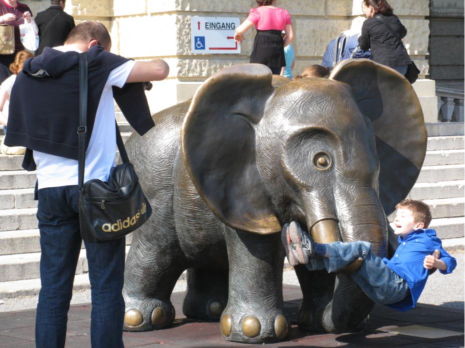 elefant