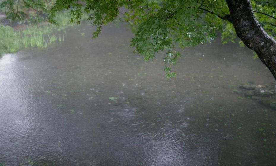 Photo : Yoshihito,Japan's rainy season