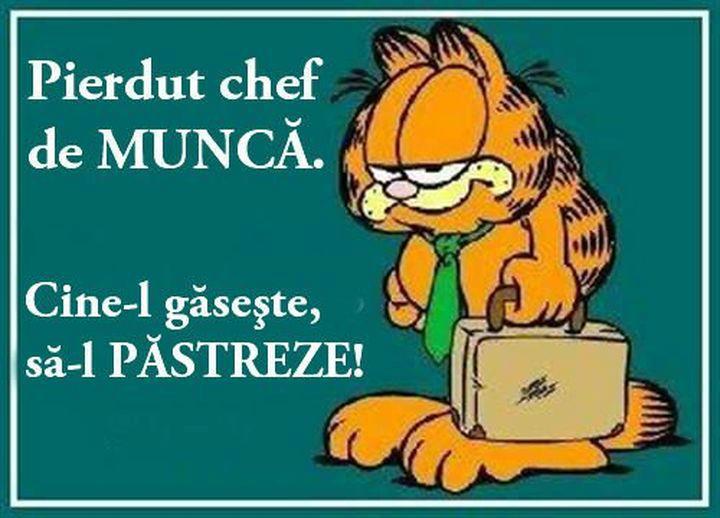 chef de munca