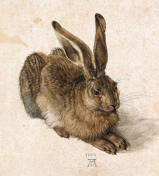 Alberto Durero ( Albrecht Dürer)