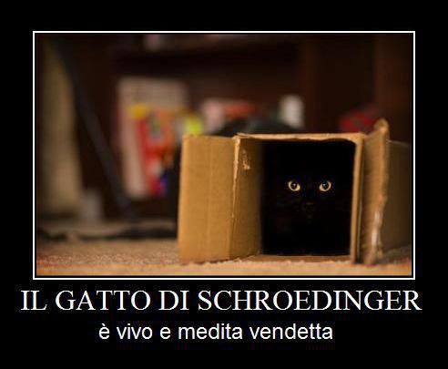 il gatto di schroedinger