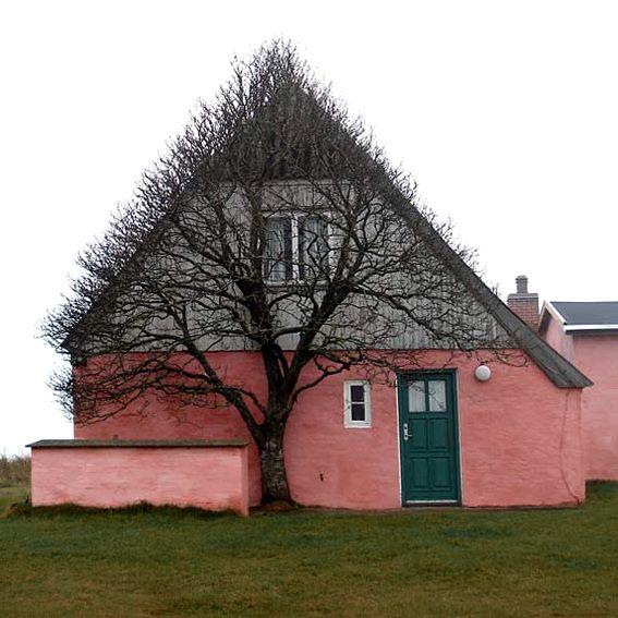 House-Tree