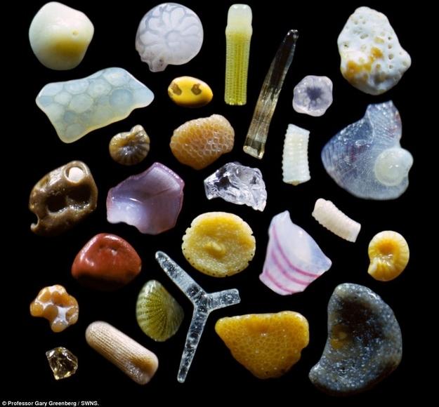 imagini la microscop - nisip