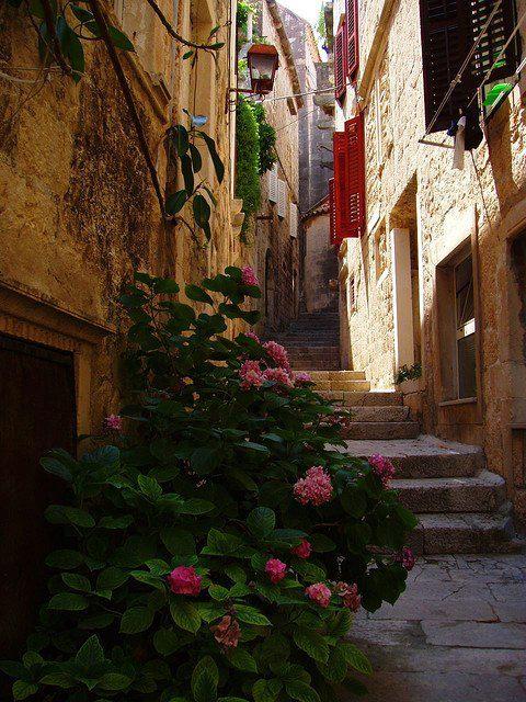 Narrow Street, Korcula, Croatia