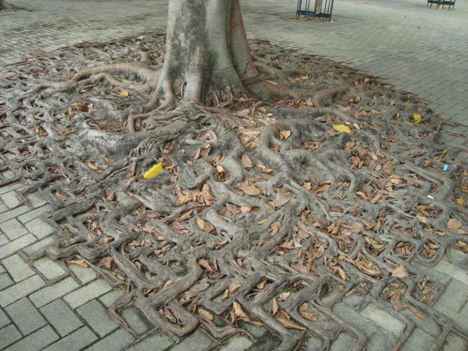 Tree Art