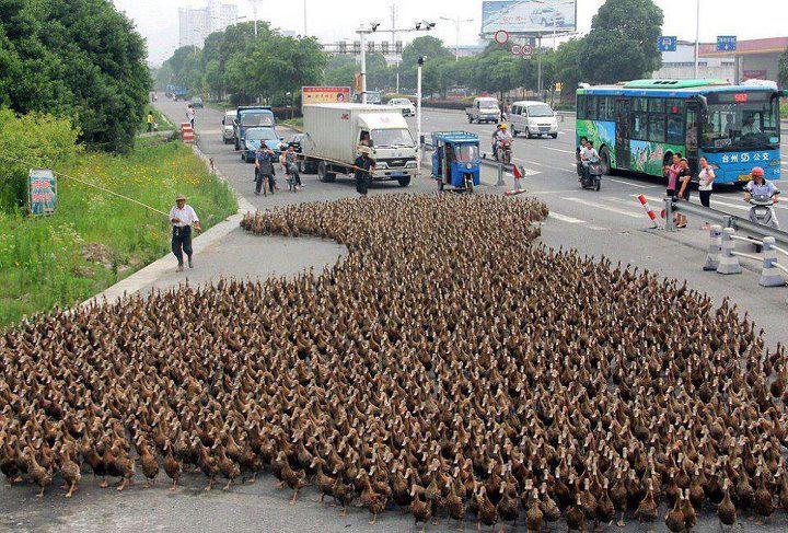 heavy traffic in china
