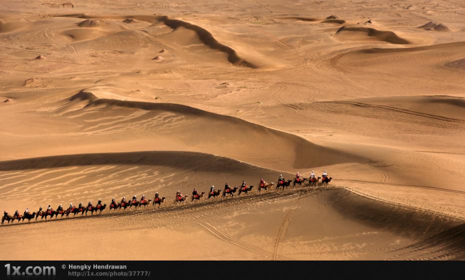 Desert Journey © Hengky Hendrawan