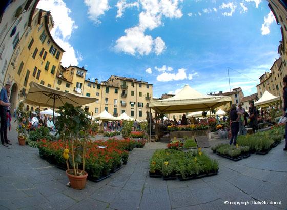 Piazza Amfiteatro Lucca 1