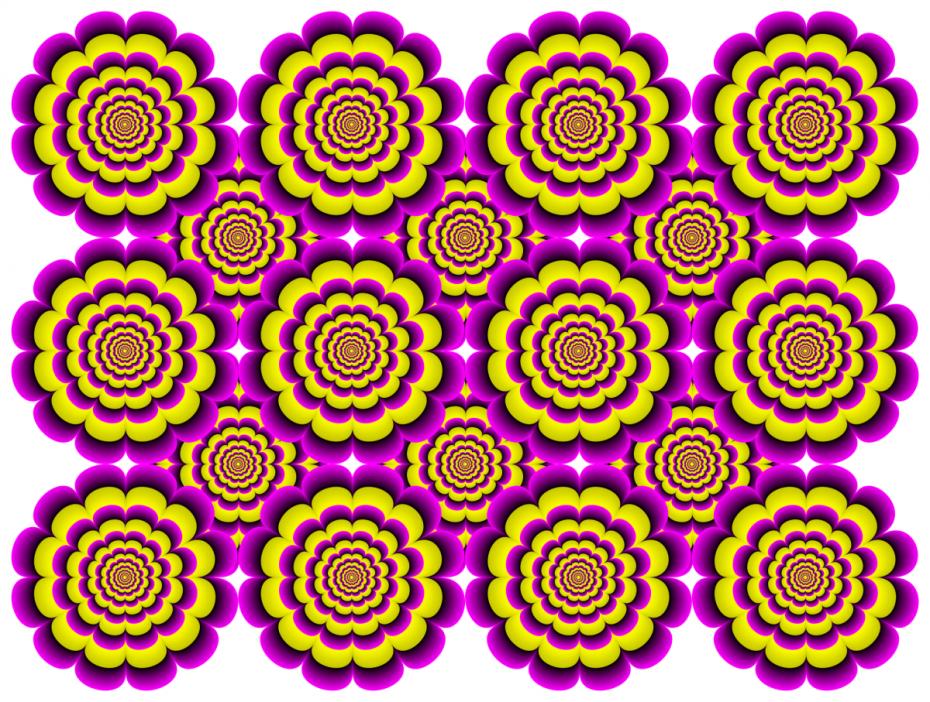 expansies