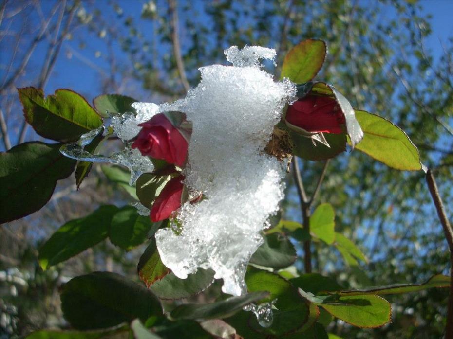 mai preparati per la neve