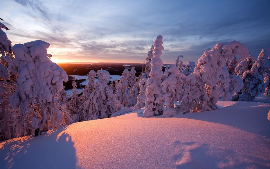 snow-covered-trees