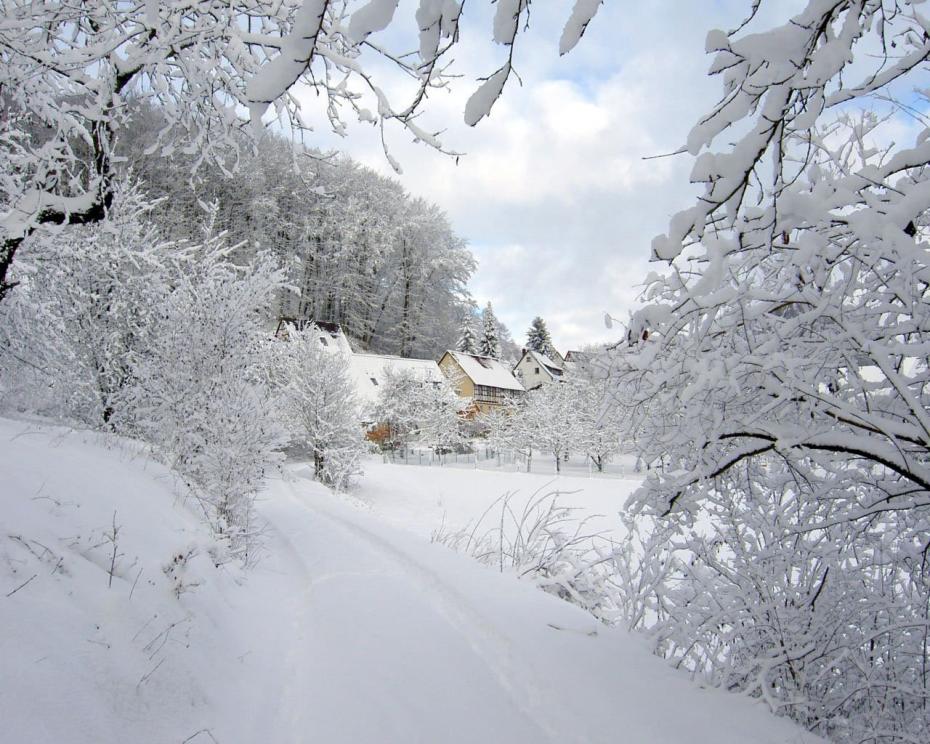 christmas-snow-bulgaria-1280x1024