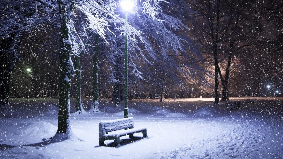 Snow-Park-Bench