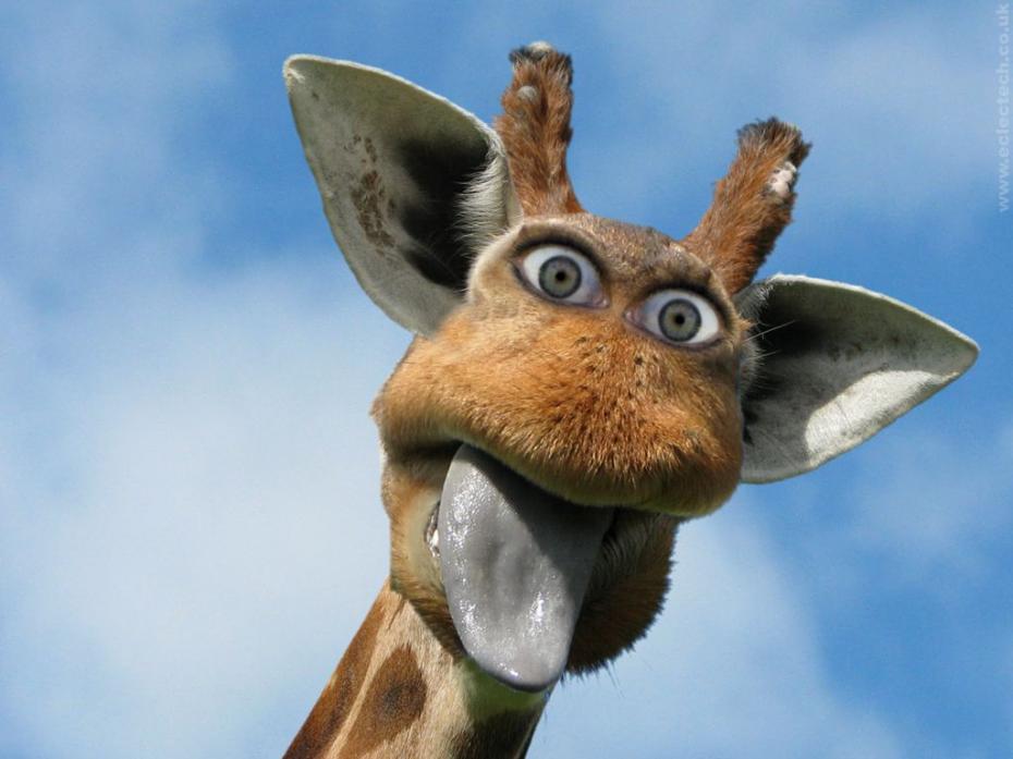 mutantgiraff