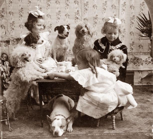 dogs-tea-party