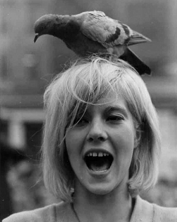 Sylvie Vartan