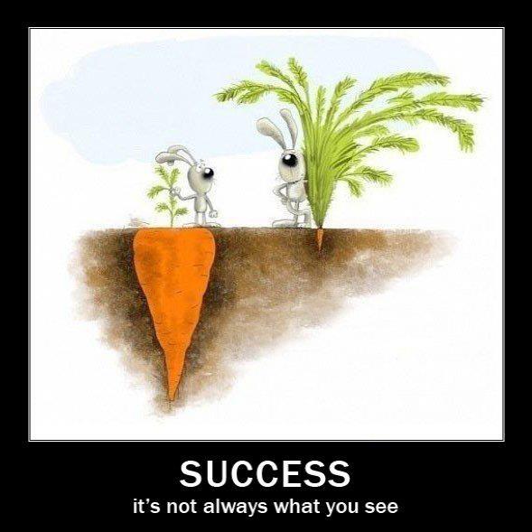 Succes is not always what you see