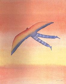 Folon-  Vola