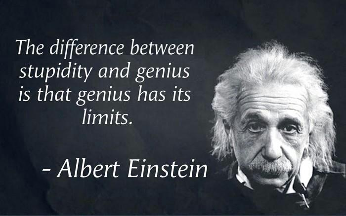 Genius and Stupidity