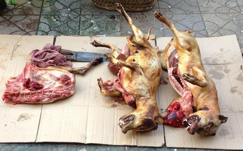 dog_meat_cropped