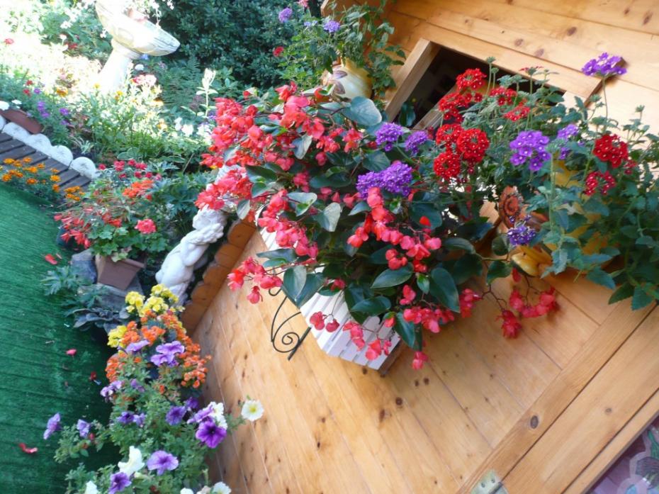 fleurs au balcon