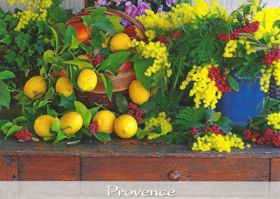 fleurs et fruit