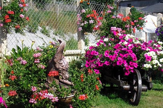 un giardino per sognare