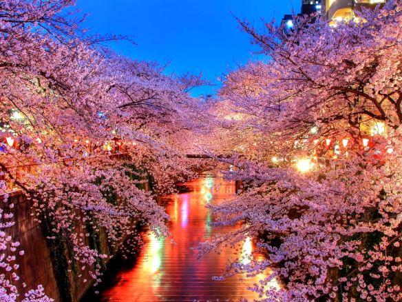 giappone