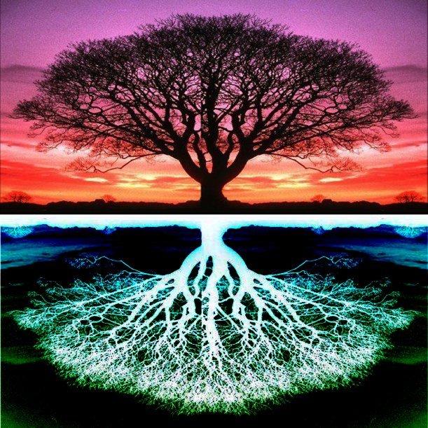 tree of life