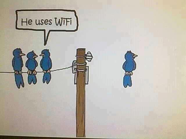 wifi