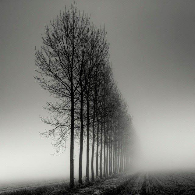 Pierre Pellegrini