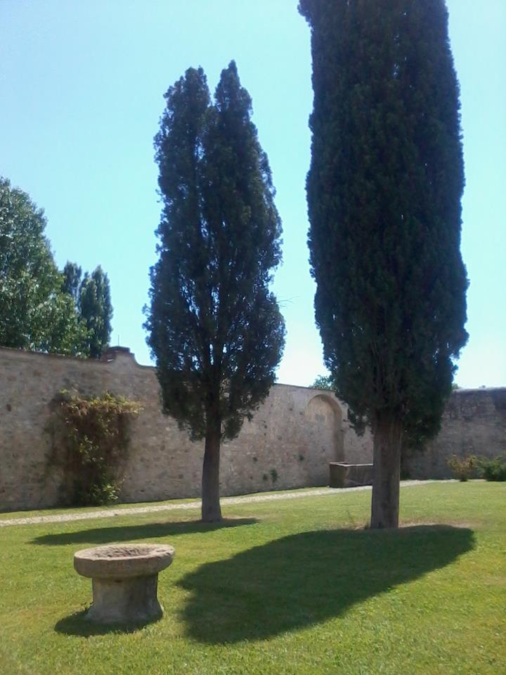 alberi.. come noi